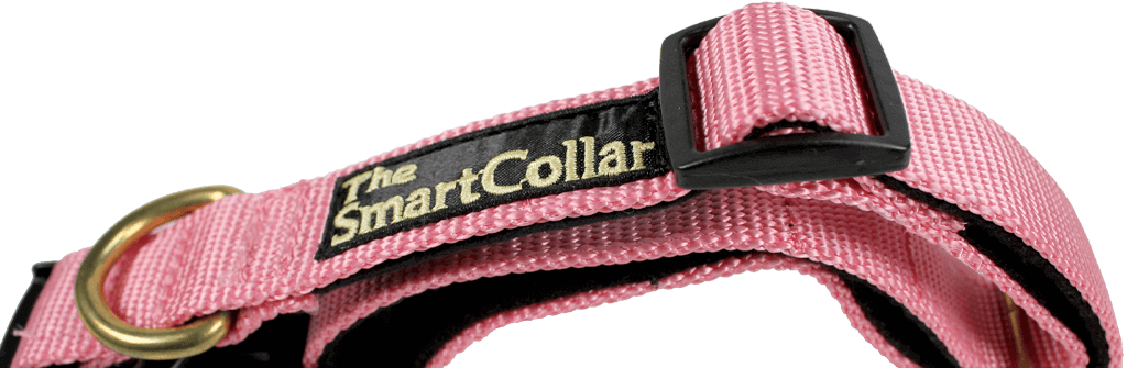 The Smart Collar - Pink