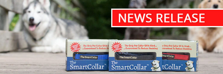 News Release: The Smart Collar Is Not Just Another Collar