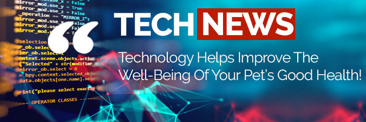 TECH NEWS - Technology Helps Improve The Well-Being Of Your Pet's Good Health!