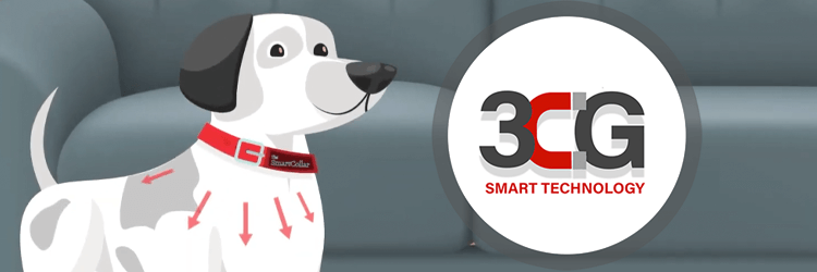3CG Smart Technology - The Smart Collar's Technology