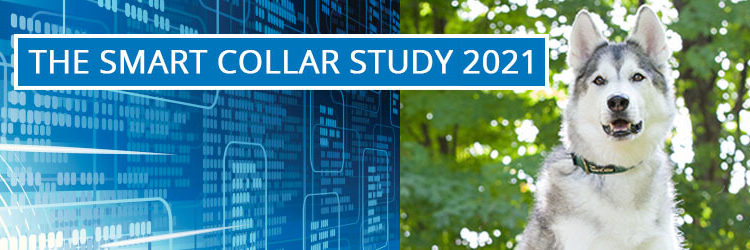 The Smart Collar Study 2021